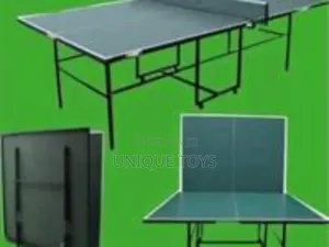 Foldable and Movable Standard Table Tennis
 