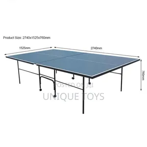 Foldable and Movable Standard Table Tennis
 