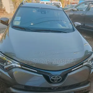 Toyota RAV4 2018 Brown
