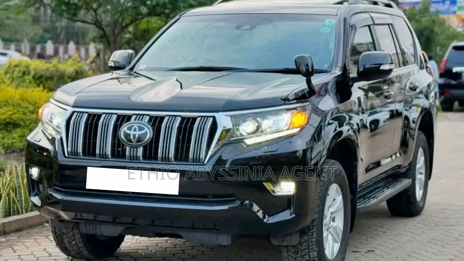 Toyota Prado_1 for Rent