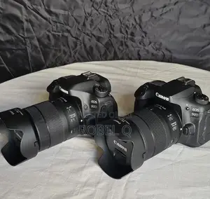 Photo - Canon 80ɗ 90ɗ With Usm 18-135mm