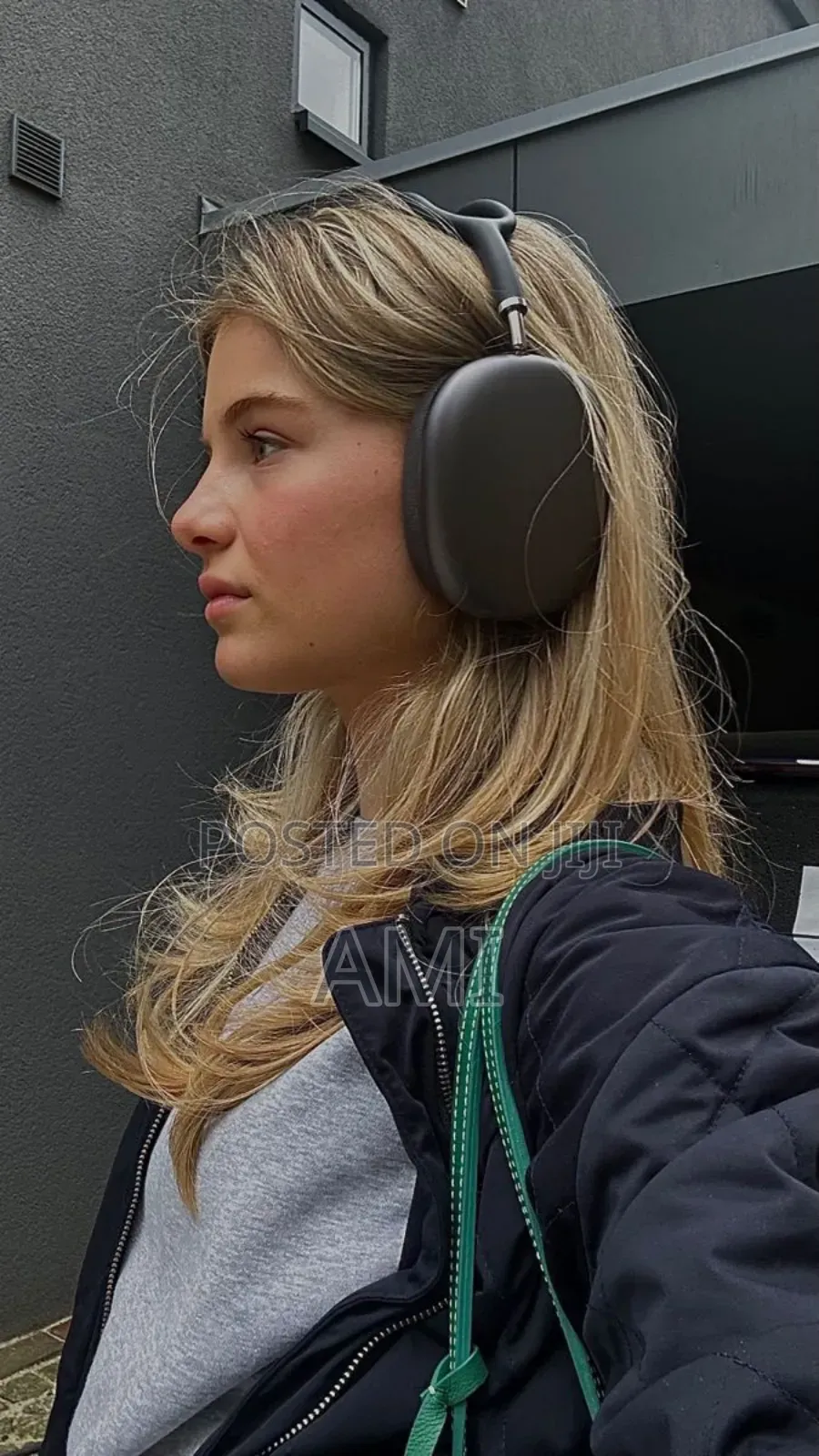 Apple Air Pods Max Headset