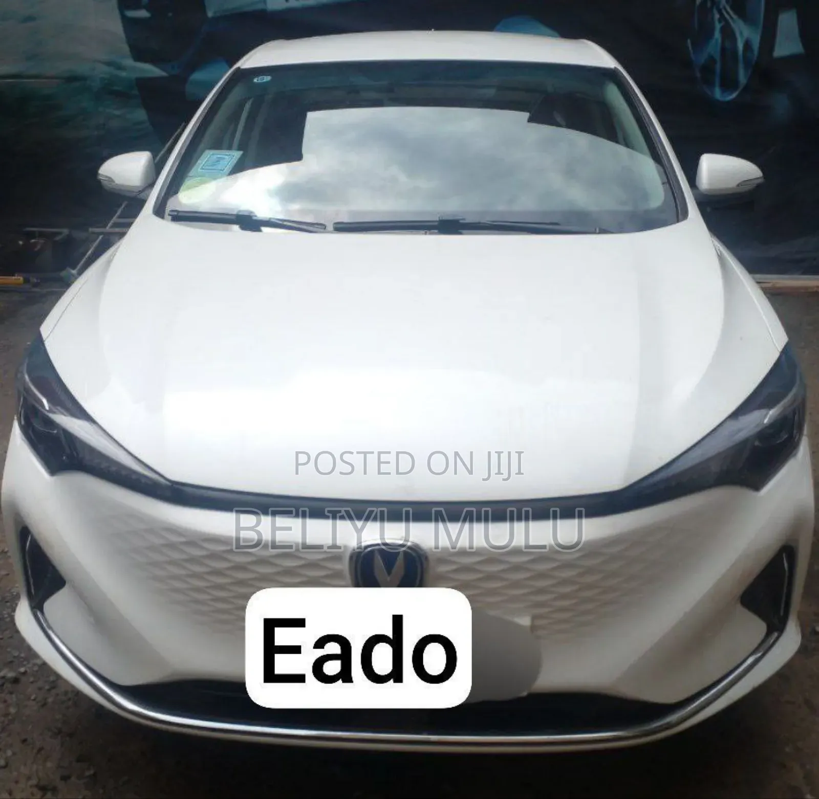 New Changan Eado EV Sedan 2023 White