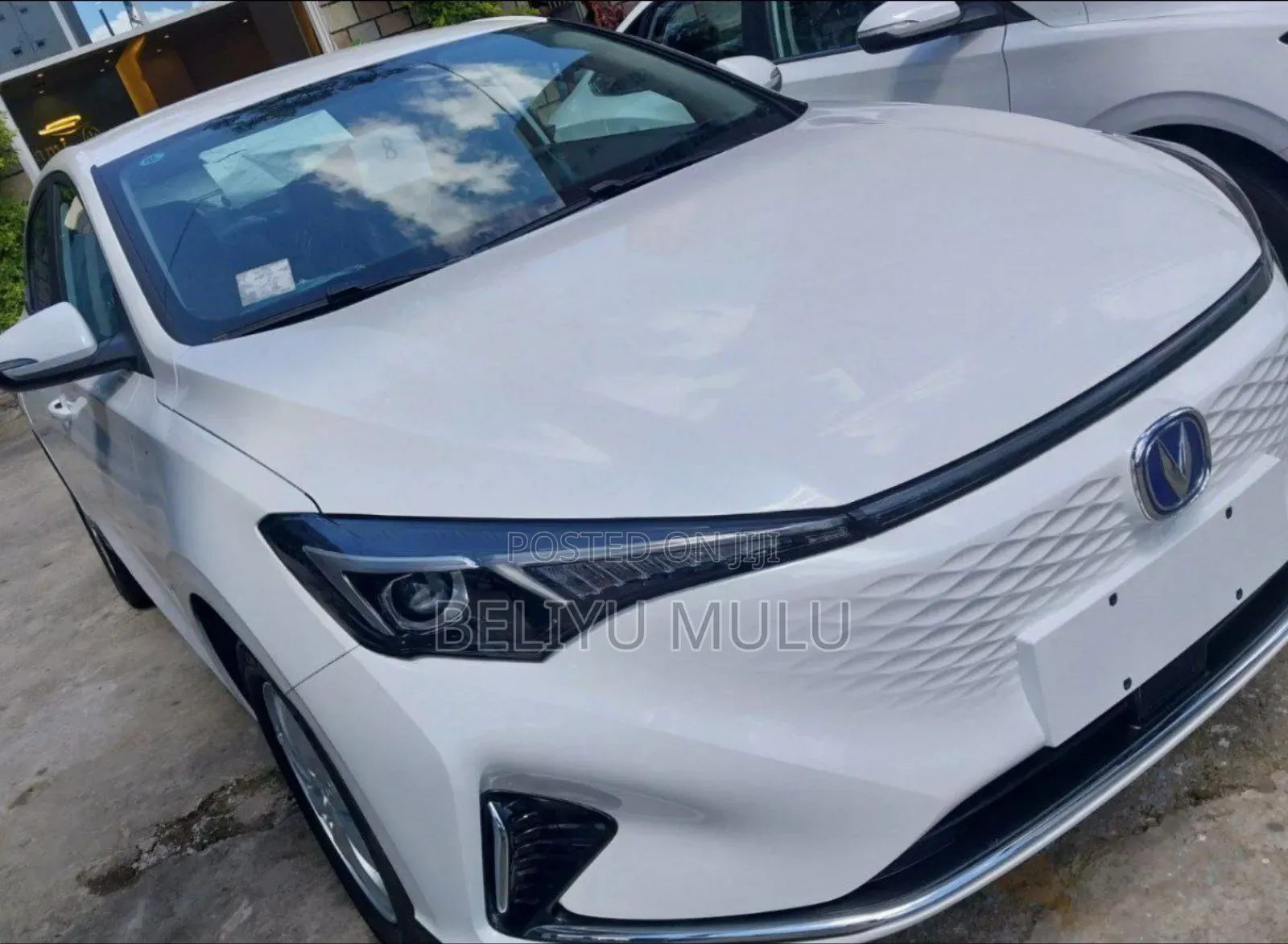 New Changan Eado EV Sedan 2023 White