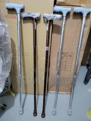 Photo - Walking Stick晅is Easy to Move Comfortably.This Is the First