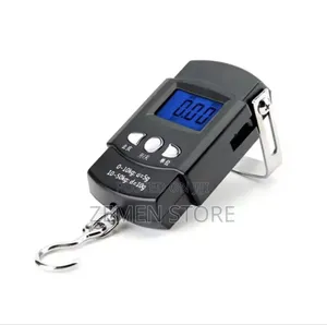 Travel Smart With This Digital Scale!