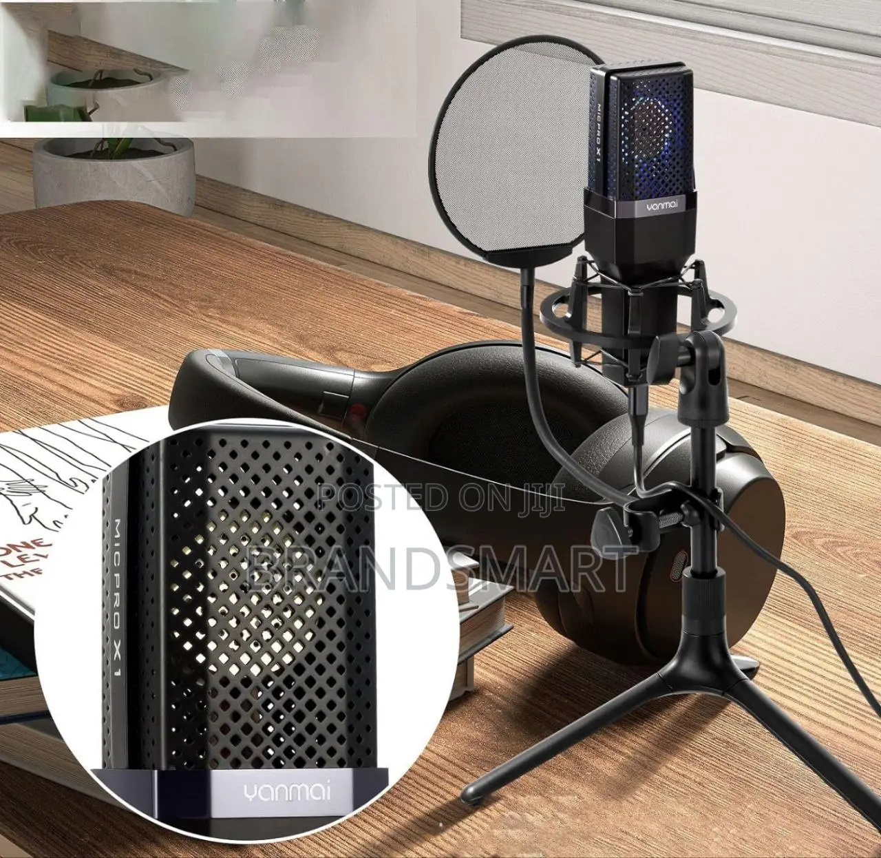 High End Professional Condenser Microphone