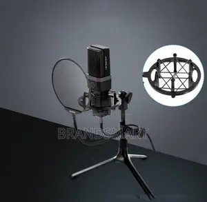 Photo - High End Professional Condenser Microphone