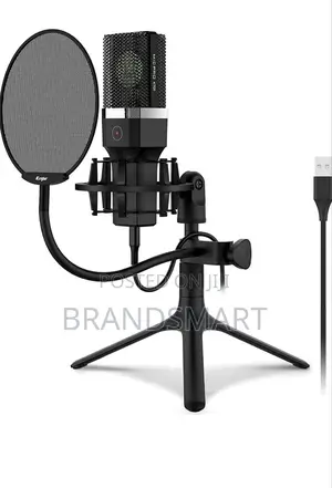 High End Professional Condenser Microphone