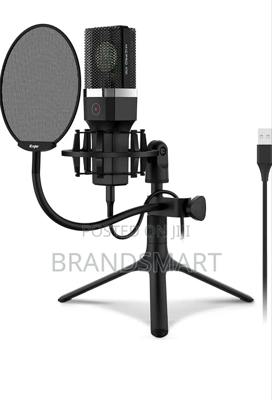High End Professional Condenser Microphone