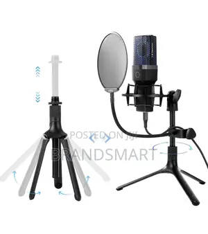 High End Professional Condenser Microphone