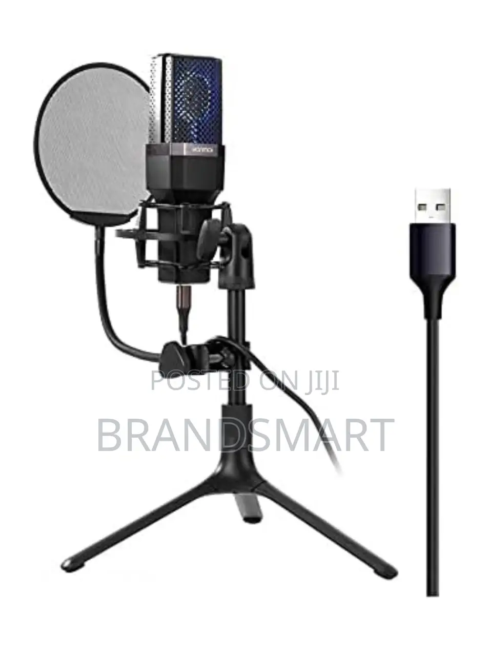 High End Professional Condenser Microphone