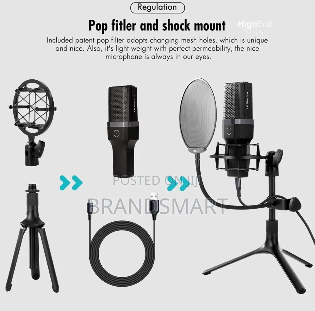 High End Professional Condenser Microphone