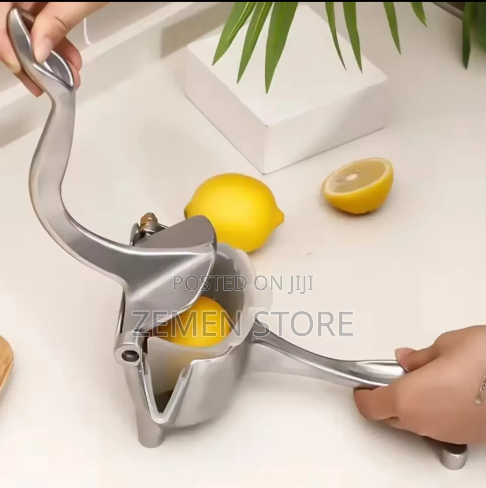 Manual Hand Press Juicer