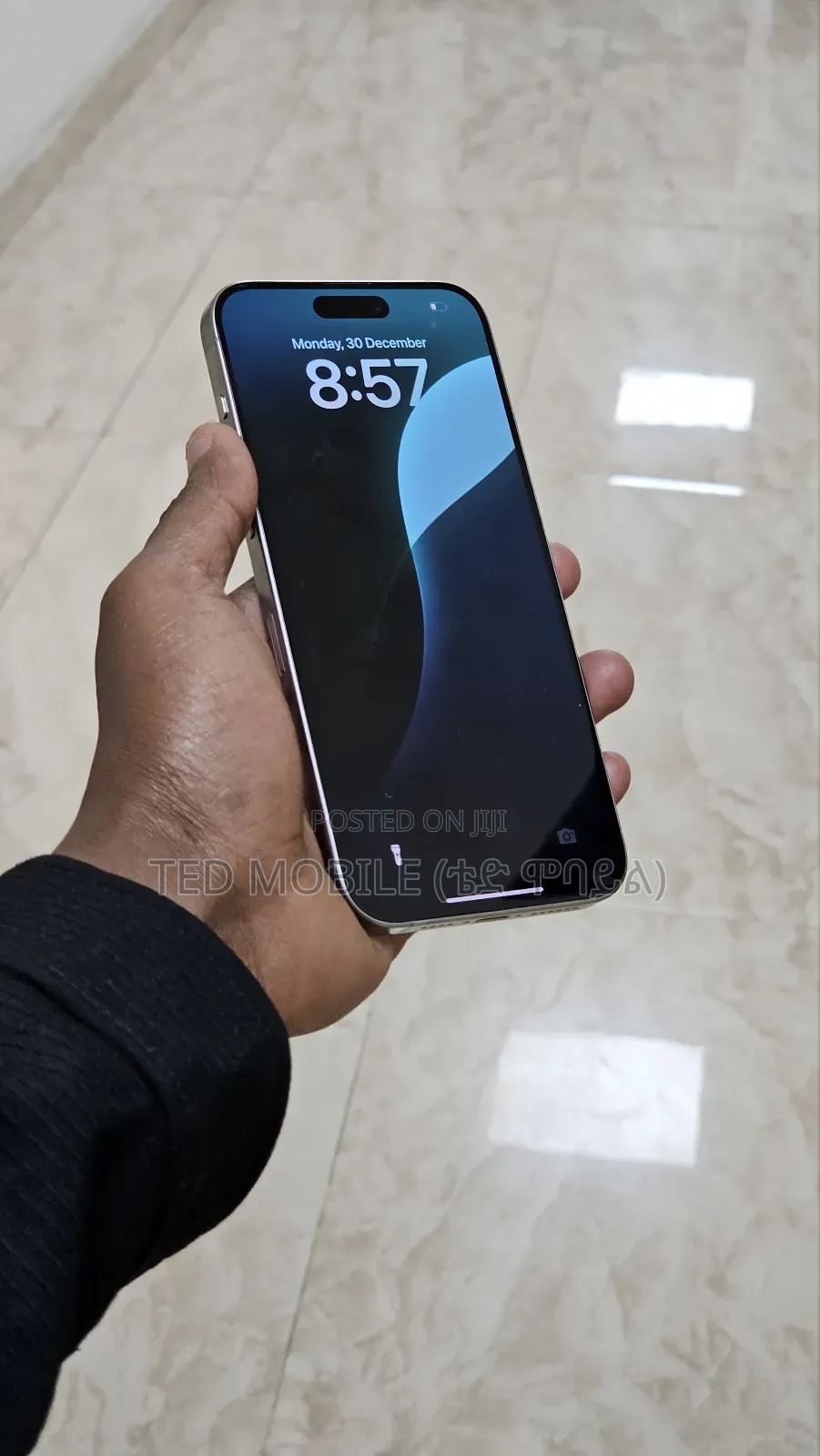 Apple iPhone 15 Pro Max 256 GB