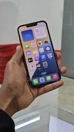 Apple iPhone 13 Pro 256 GB Gray