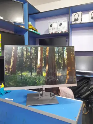 Photo - Hp Frameless Monitor