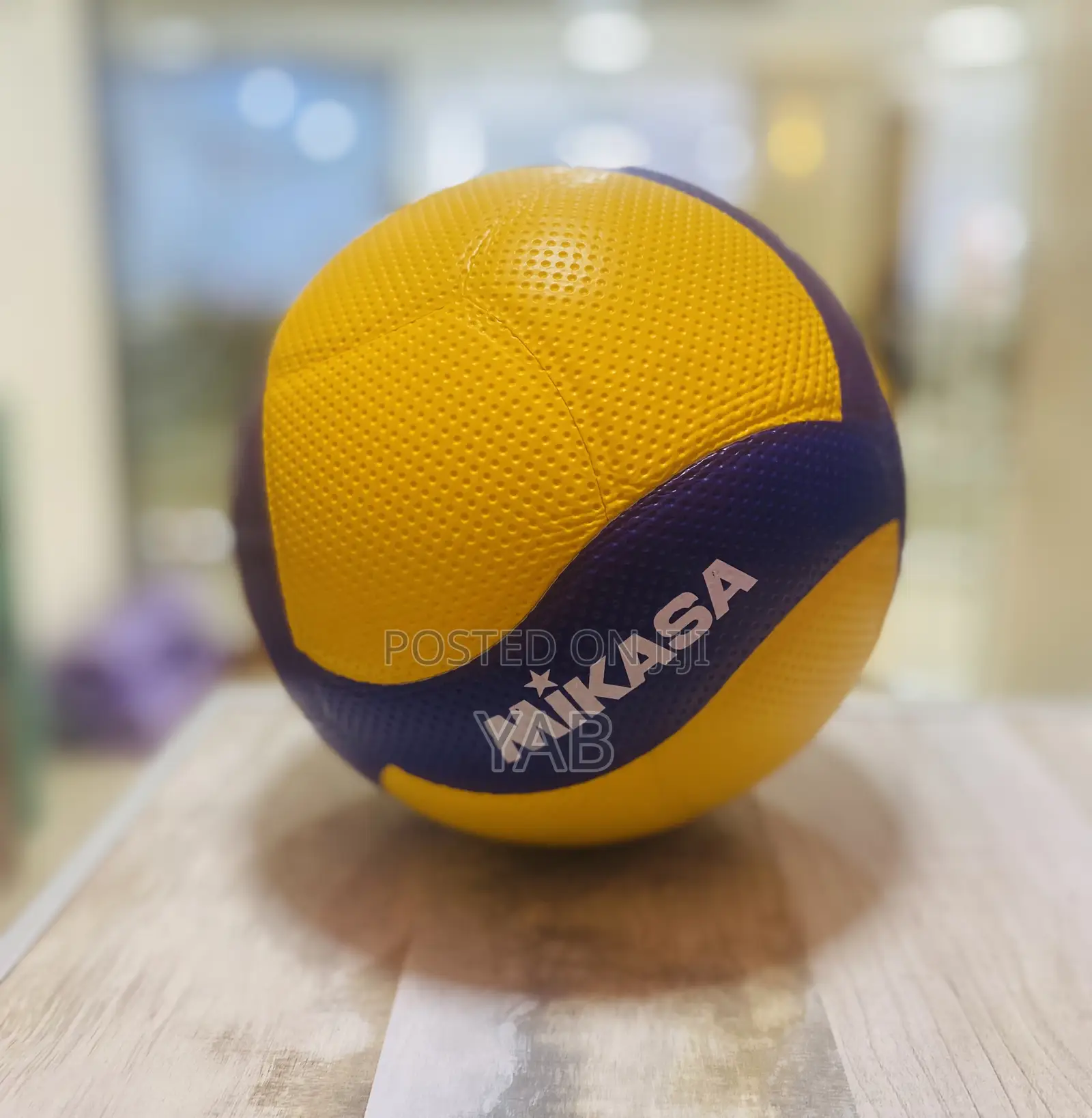Volleyball Ball Indoor