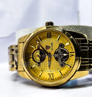 Tevise Mehanical Gold Men's High Quality Stainless Watches