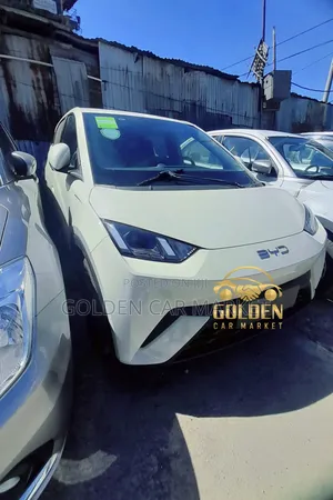 New BYD Seagull 30 kWh FWD 2024 White