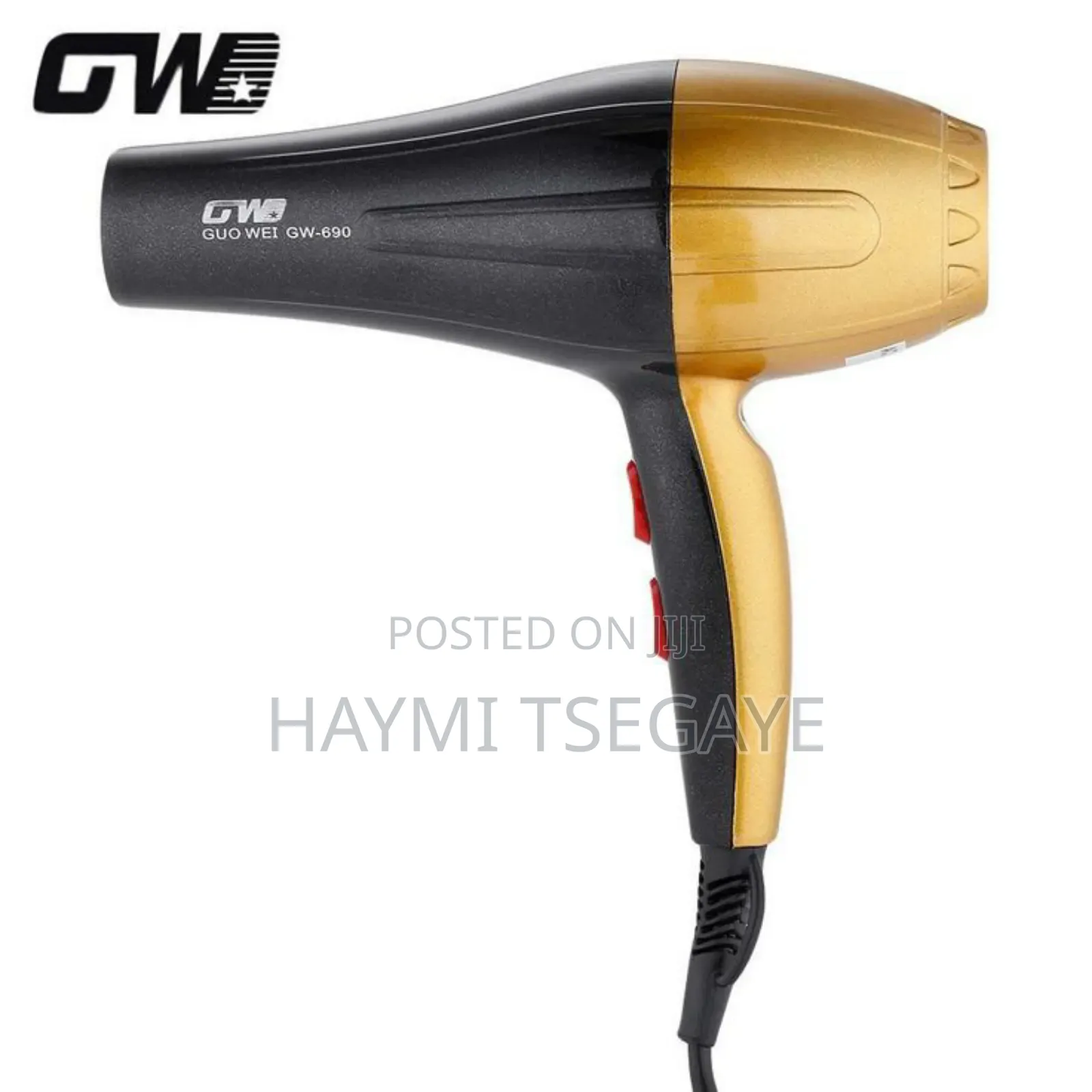 GW Professional Hair Dryer