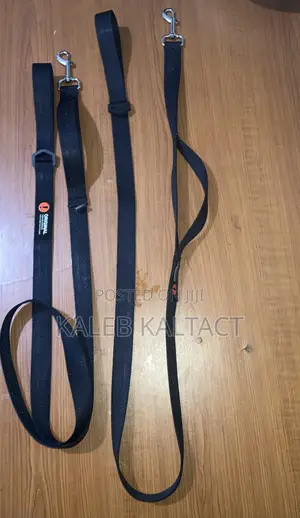 Heavy Duty Dog Leash
