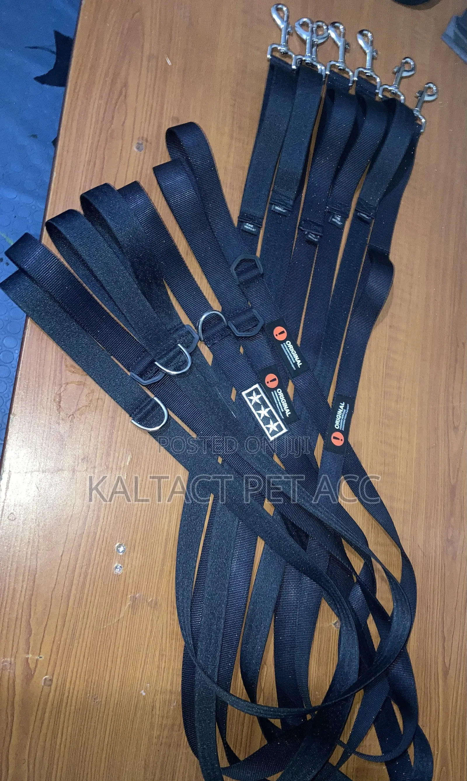 Dog Leash(መጉተቻ)