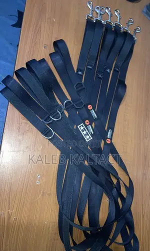 Photo - Dog Leash(መጉተቻ)