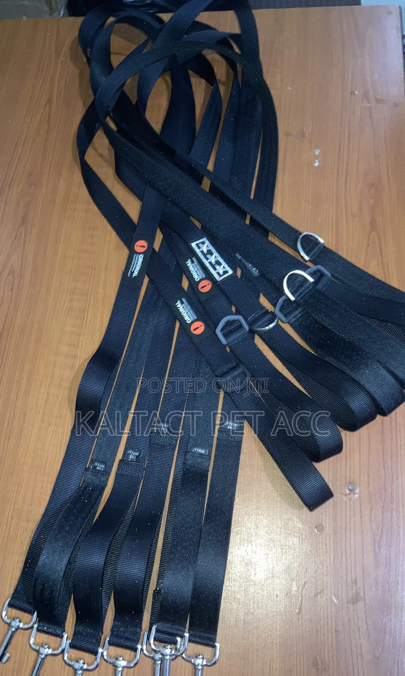 Dog Leash(መጉተቻ)