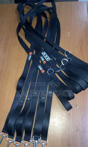 Dog Leash(መጉተቻ)