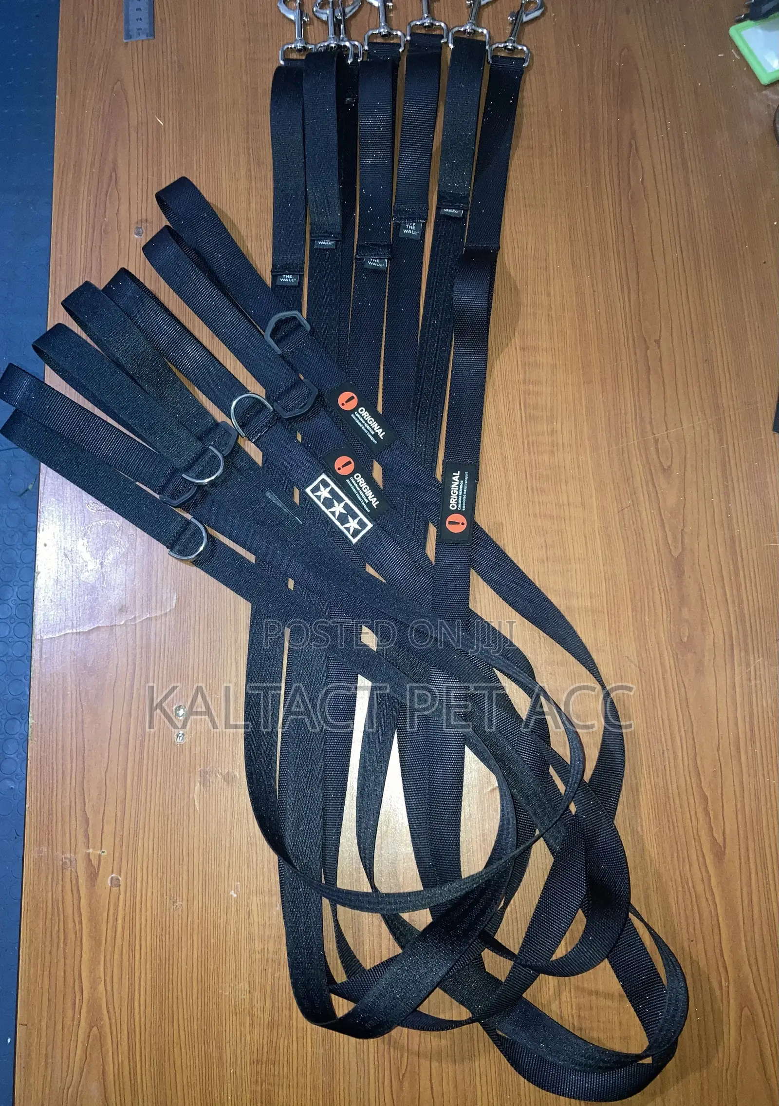 Dog Leash(መጉተቻ)