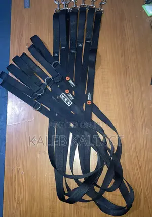 Dog Leash(መጉተቻ)