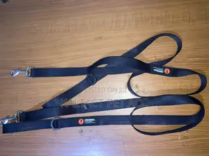 Dog Leash(መጉተቻ)