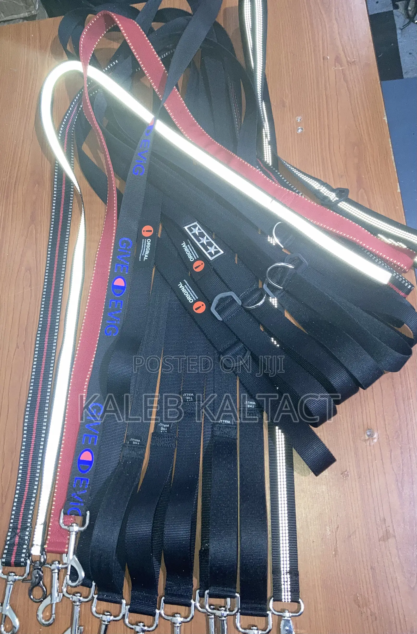 Dog Leads (የውሻ መጉተቻ)