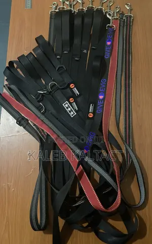Dog Leads (የውሻ መጉተቻ)