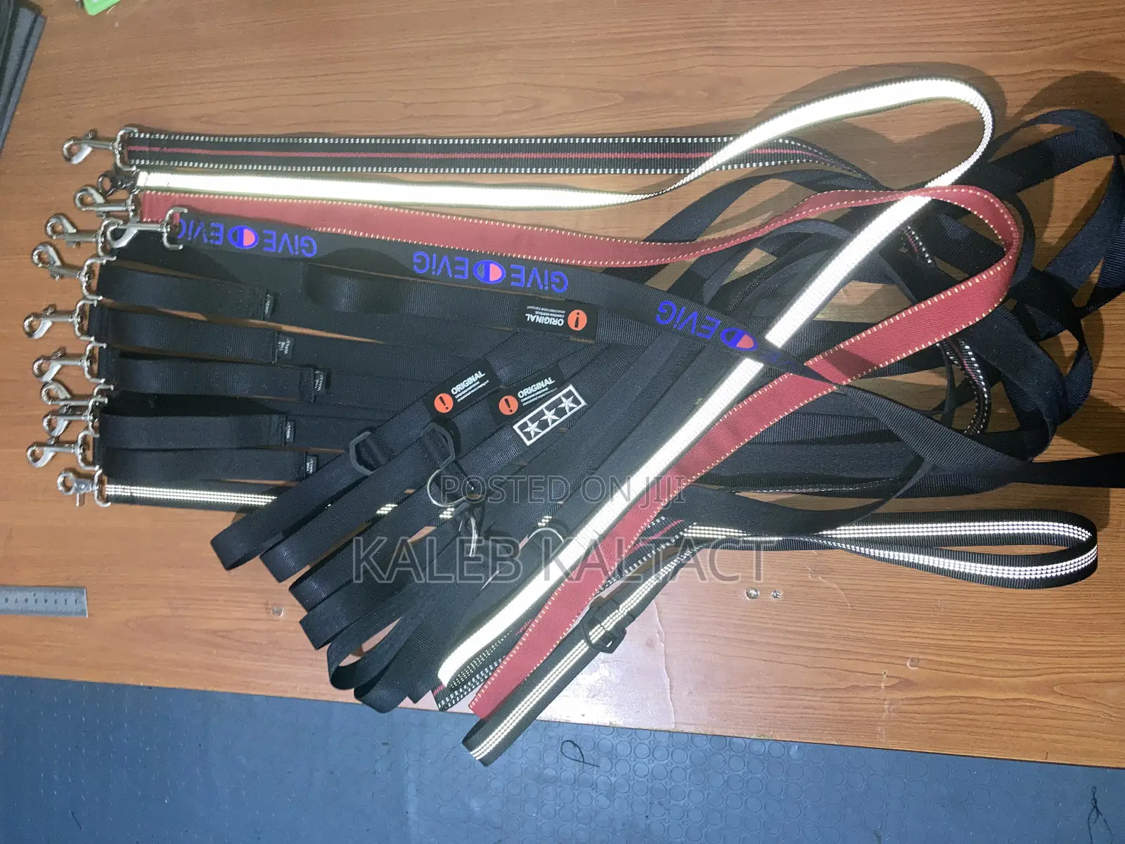 Dog Leads (የውሻ መጉተቻ)