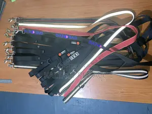 Dog Leads (የውሻ መጉተቻ)