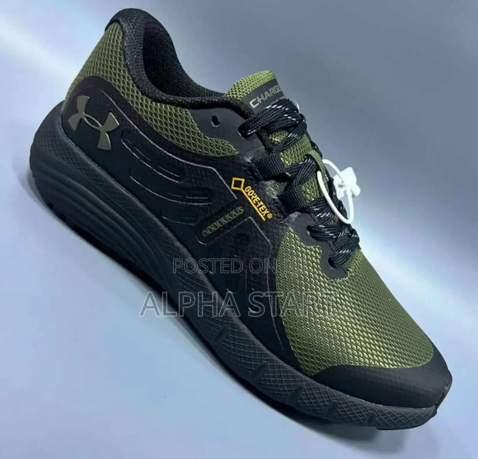 Under Armour Charged Bandit Trail GTX Shoes