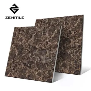 Photo - China Porcelain 60*60