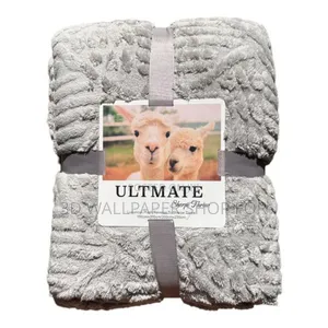 Queen Size Polyster Blanket