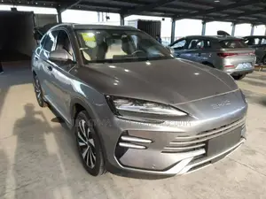 New BYD Song Plus 2024 Gray