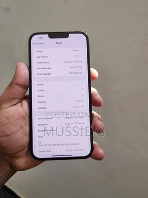 Apple iPhone 13 Pro Max 256 GB Green