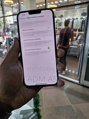 Apple iPhone 13 Pro Max 256 GB Green