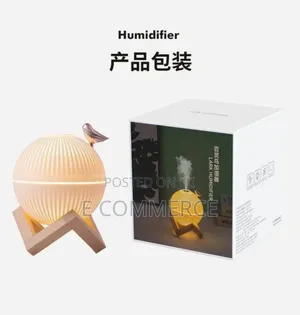 Lark Air Humidifier With LED Light