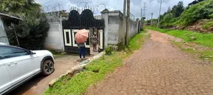 Photo - Furnished 4bdrm House in L Shape, Gullele for sale