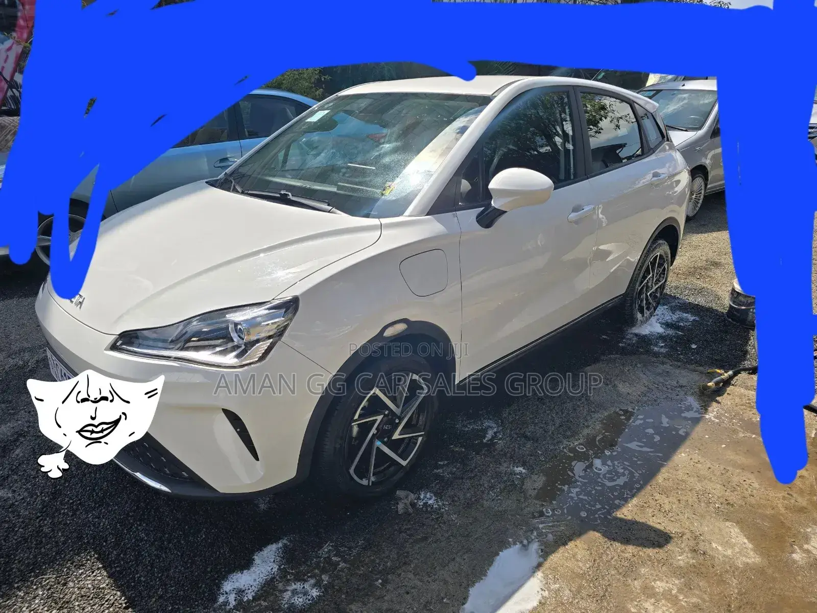 Hozon Neta Aya 2024 Pearl