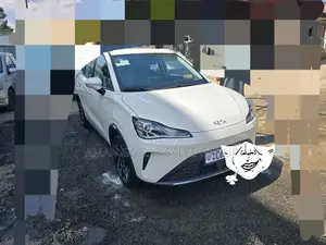 Hozon Neta Aya 2024 Pearl