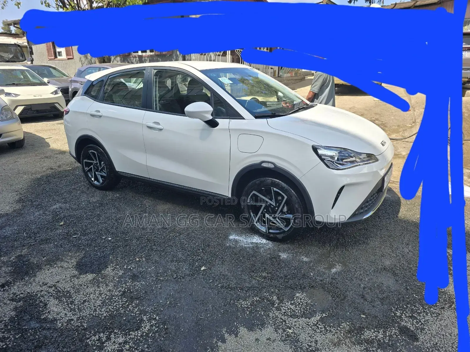 Hozon Neta Aya 2024 Pearl