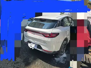 Hozon Neta Aya 2024 Pearl