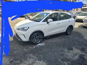 Hozon Neta Aya 2024 Pearl